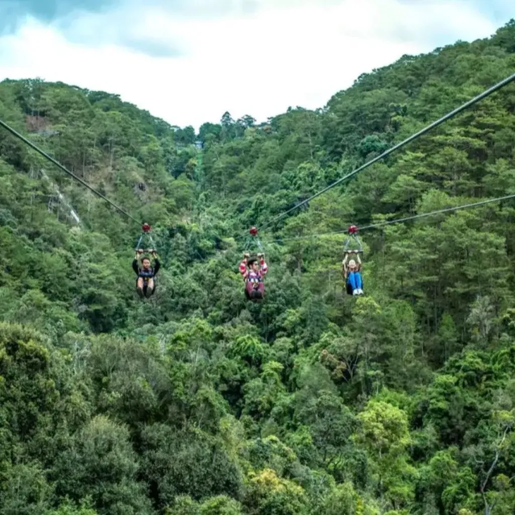 Zipline Đà Lạt Là Gì?