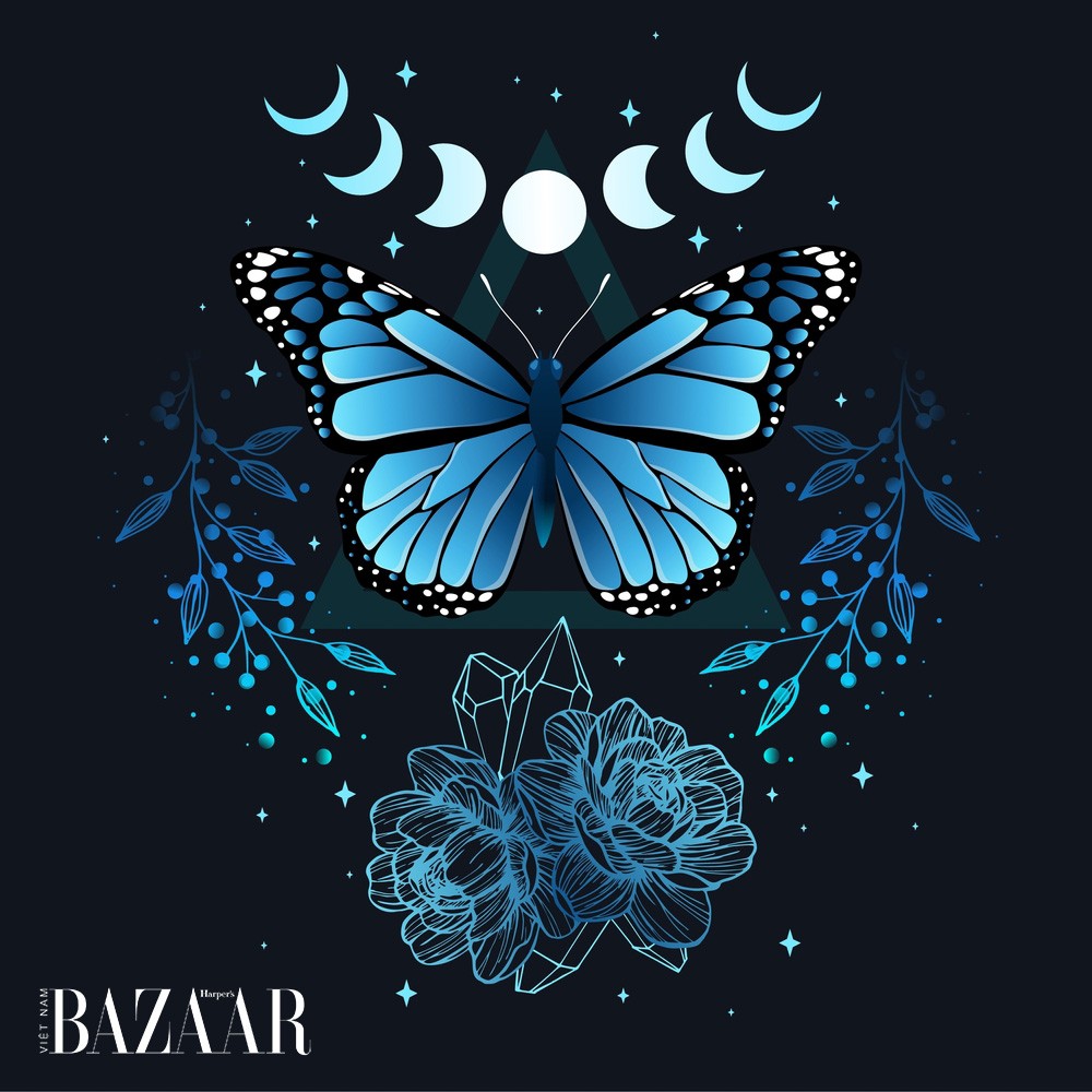 Các kiểu dáng và màu sắc đa dạng của hình xăm bướm