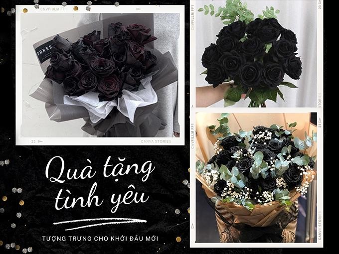 Bông hoa hồng đen mang vẻ đẹp ma mị và ý nghĩa về sự tái sinh