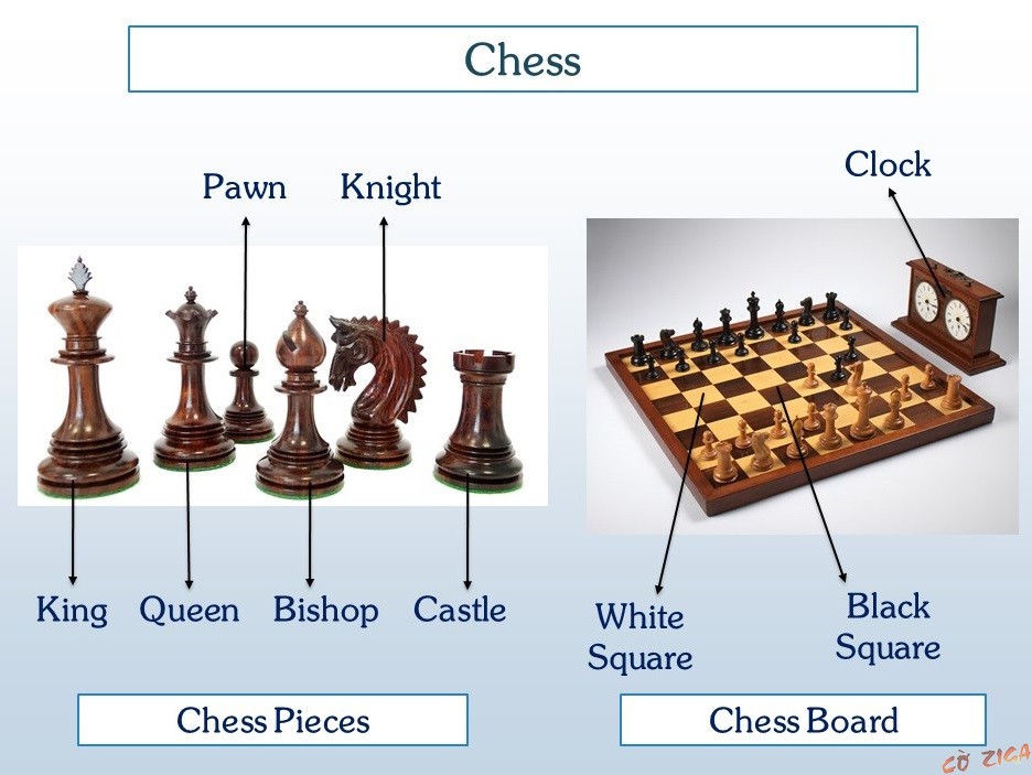 Bàn cờ và quân cờ trong trò chơi cờ vua