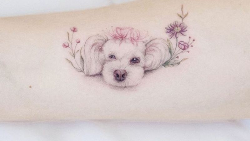 Hình xăm Poodle ở cánh tay cho các ‘con sen’ chính hiệu