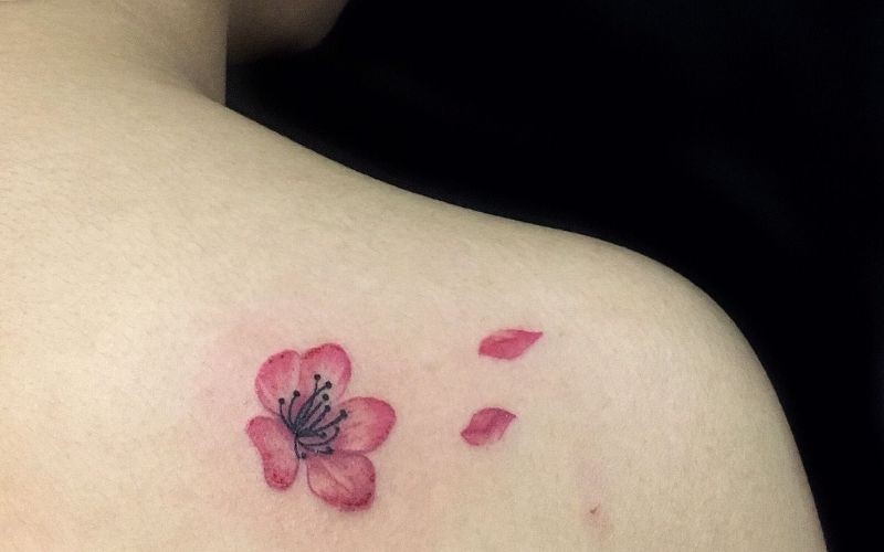 Hình xăm hoa anh đào, ẩn dụ cho một cuộc sống mong manh, chóng tàn