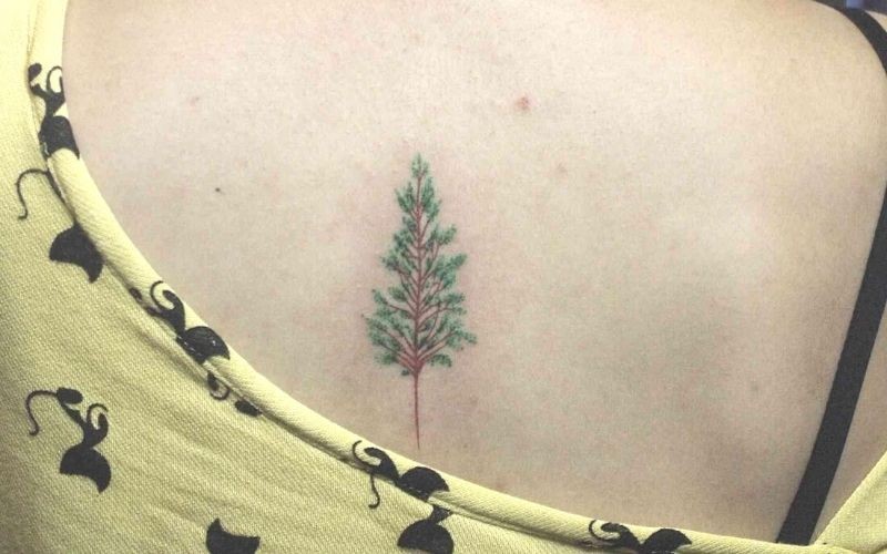 Hình xăm nhành cây, biểu tượng cho sức sống mạnh mẽ