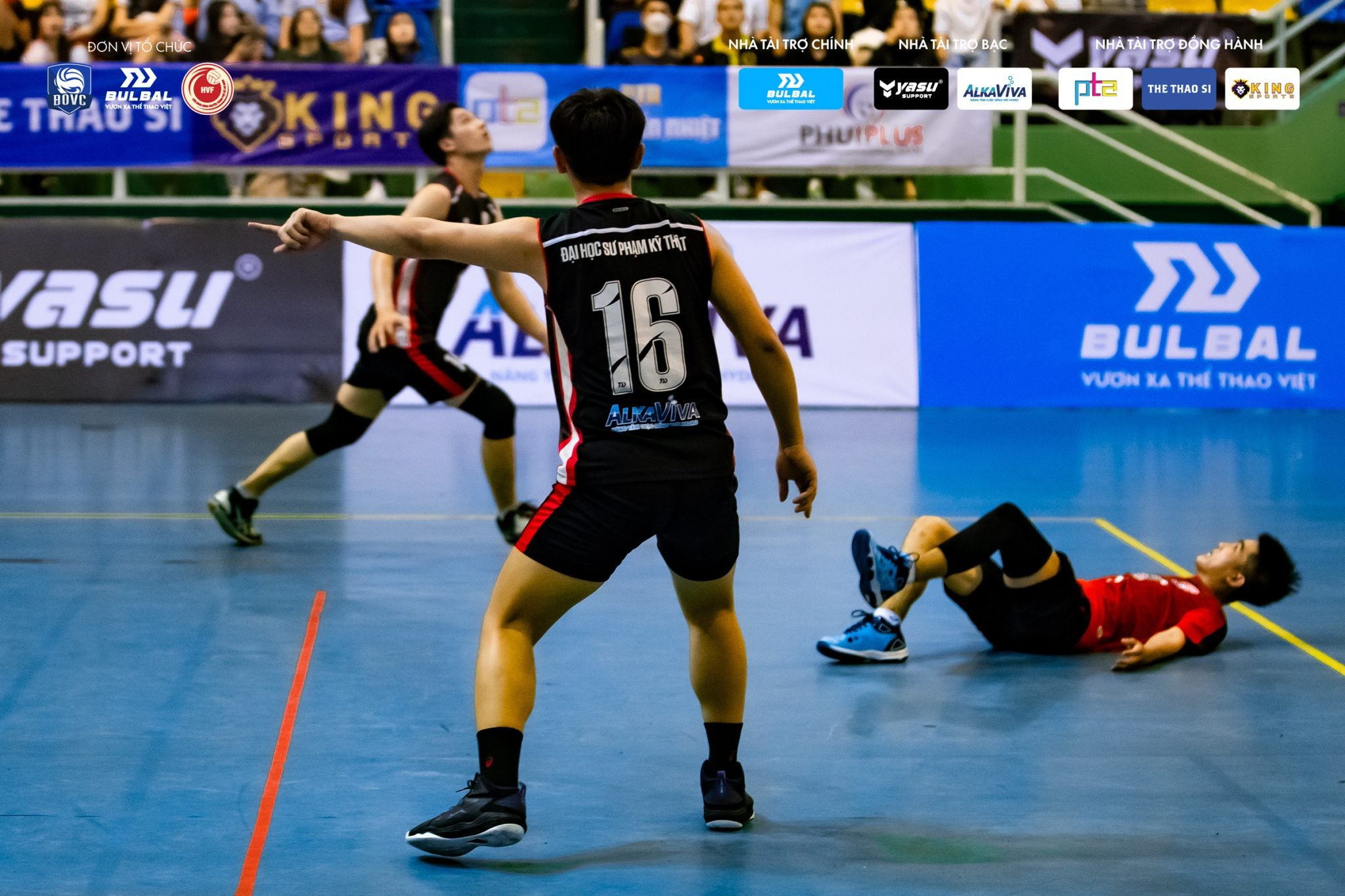 Sơ đồ vị trí và cách sắp xếp đội hình thi đấu trong môn bóng chuyền