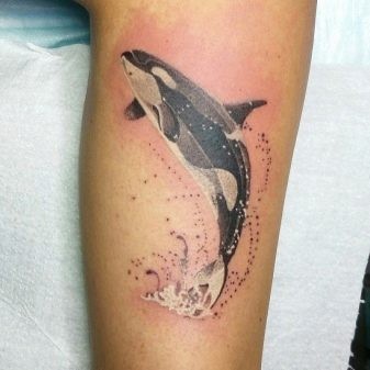 Hình xăm cá voi sát thủ 11