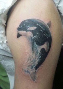 Hình xăm cá voi sát thủ 13