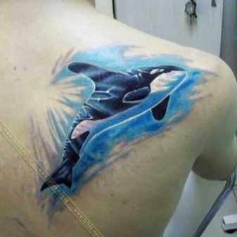 Hình xăm cá voi sát thủ 27