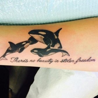 Hình xăm cá voi sát thủ 30