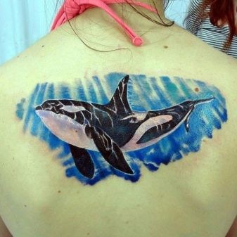 Hình xăm cá voi sát thủ 35