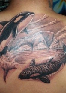 Hình xăm cá voi sát thủ lớn 7