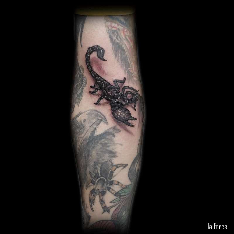 Hình xăm bọ cạp hoa văn 3D ở tay