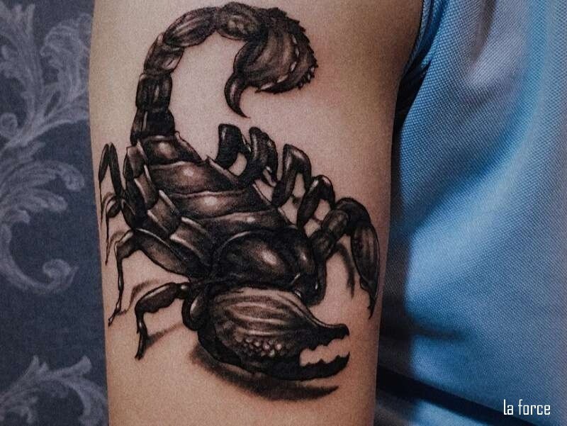 Hình xăm bọ cạp tả thực sống động