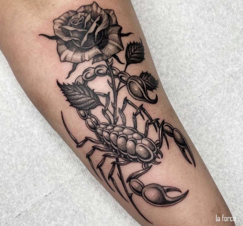 Hình xăm bọ cạp và hoa hồng đẹp