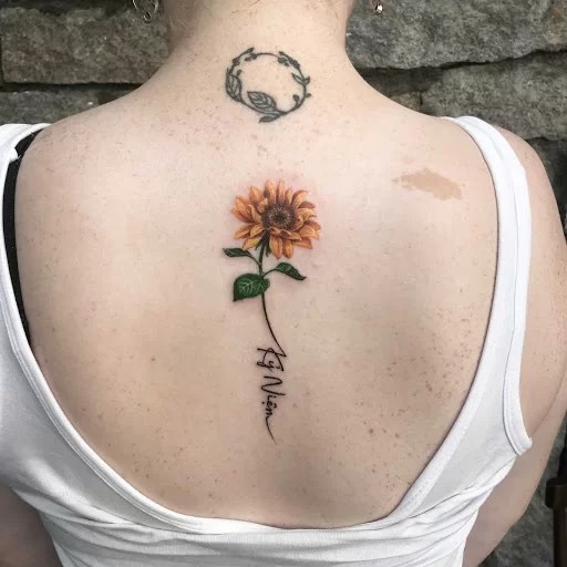 hinh xam hoa huong duong 1