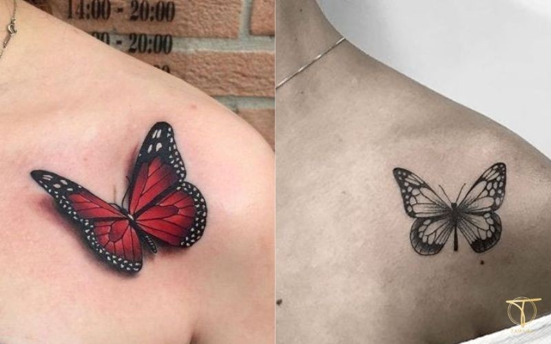 Hình xăm cánh bướm nghệ thuật trên ngực nữ