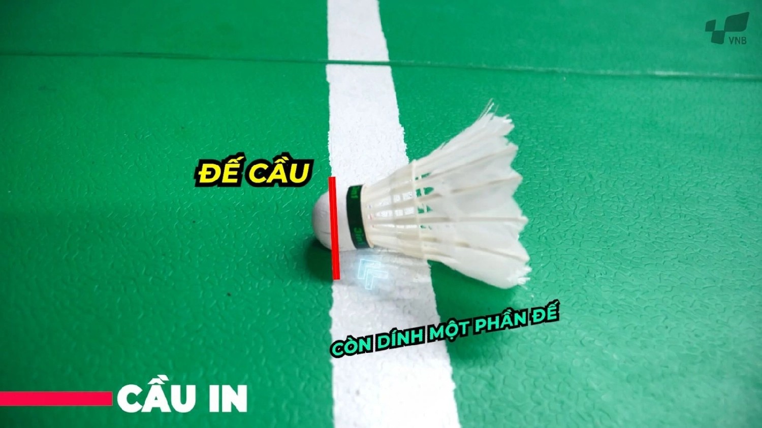 Minh họa cầu rơi trong sân (In)