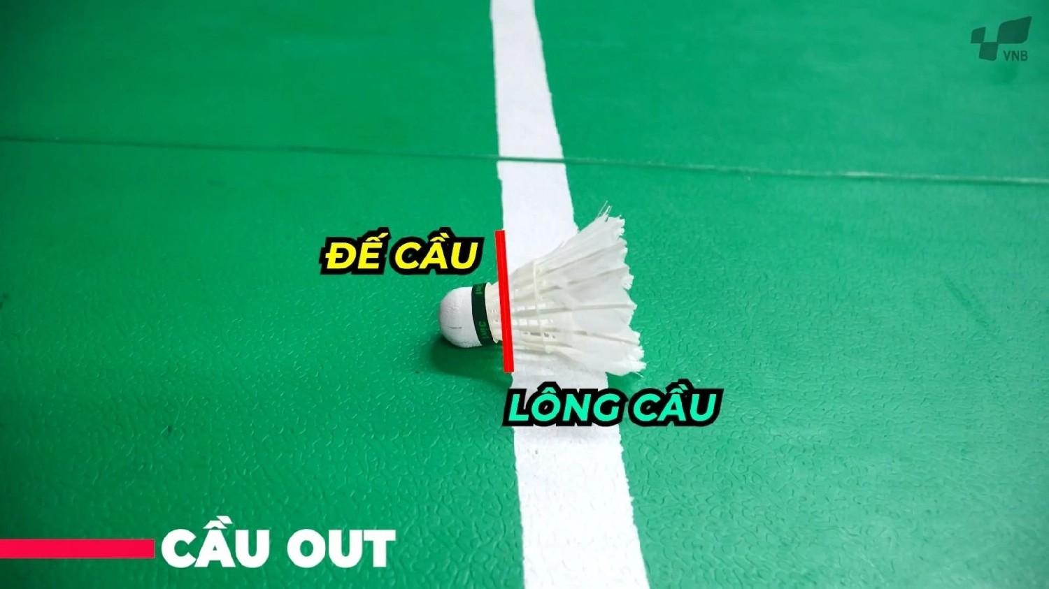 Minh họa cầu rơi ngoài sân (Out)