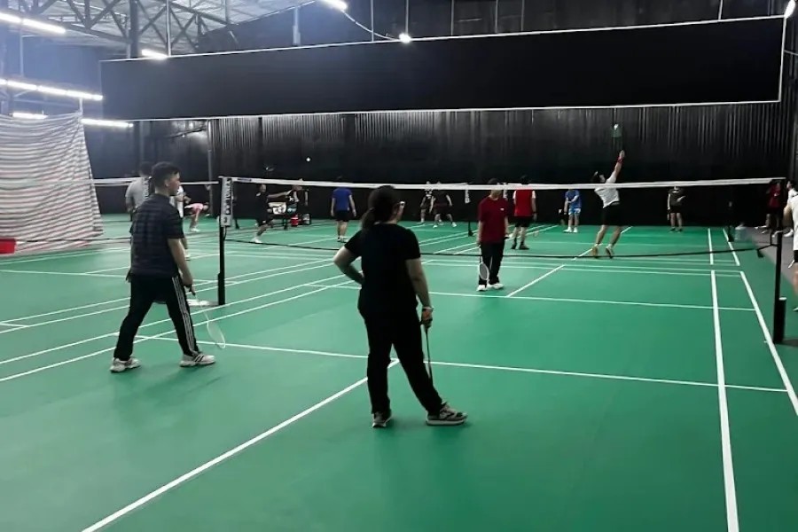 Mặt sân Pixihub chất lượng cao