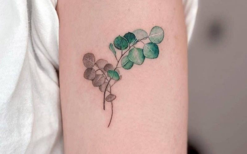 Hình xăm nhành lá xanh tươi tắn ở bắp tay