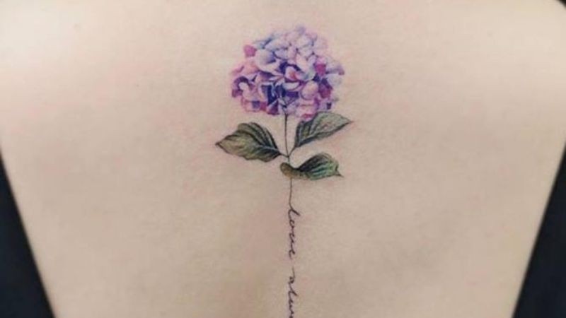 Hình xăm hoa cẩm tú cầu màu xanh biếc ở lưng