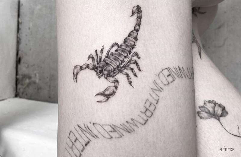 Hình xăm bọ cạp nhỏ đẹp trên vai