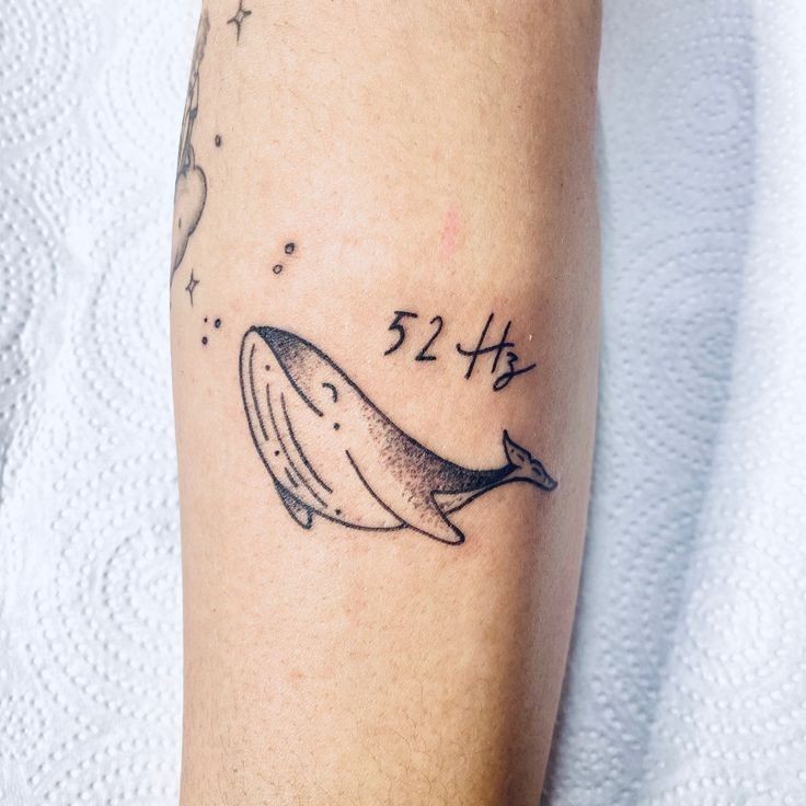 Cá voi xanh lặn sâu dưới đáy biển, tượng trưng cho sự kiên trì và hy vọng