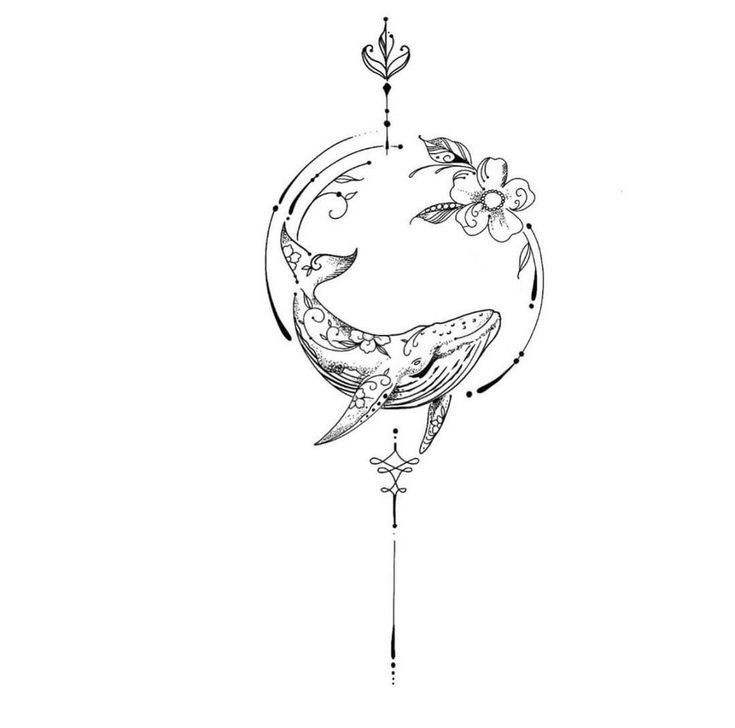 Hình ảnh minh họa cá voi phát ra âm thanh trong lòng đại dương