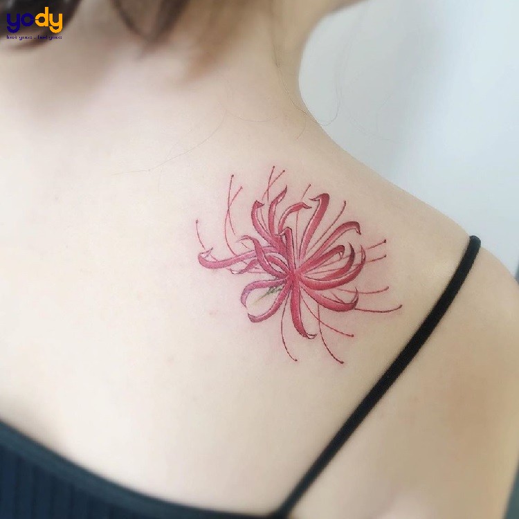 Xăm hình hoa bỉ ngạn có ý nghĩa sâu xa