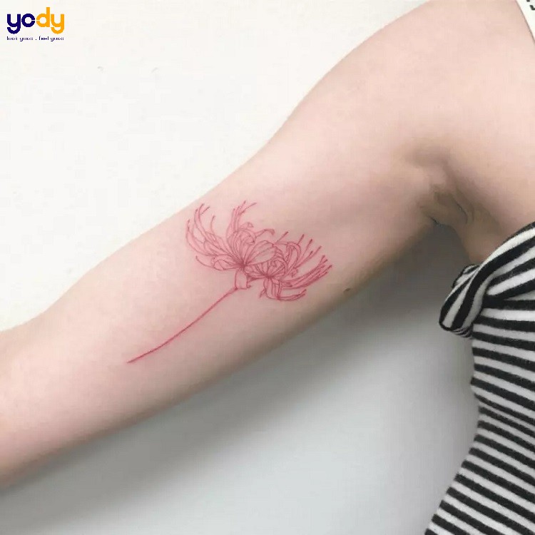 Hình xăm hoa bỉ ngạn ở tay
