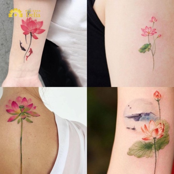 Hình xăm phong thủy hoa sen về sự thanh khiết, trong sáng và bình an