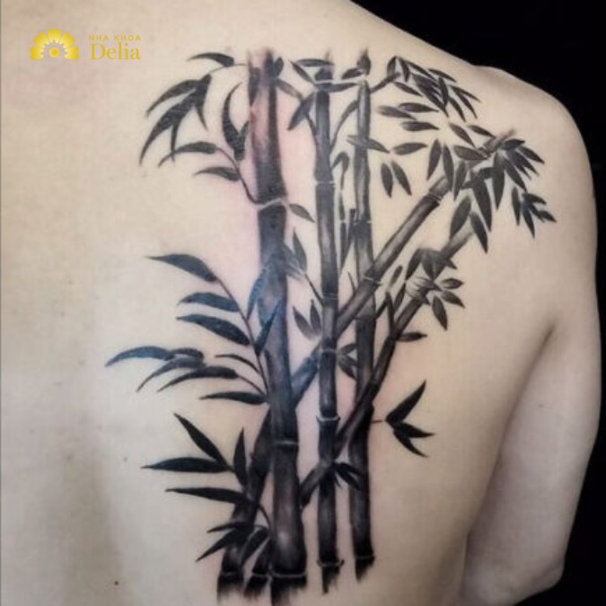 Hình ảnh về cây trúc hợp với người mệnh Mộc