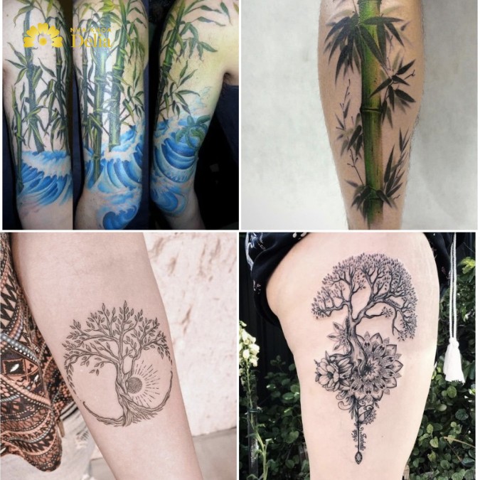 Hình ảnh về cây tre, tùng bách hợp với mệnh Thổ