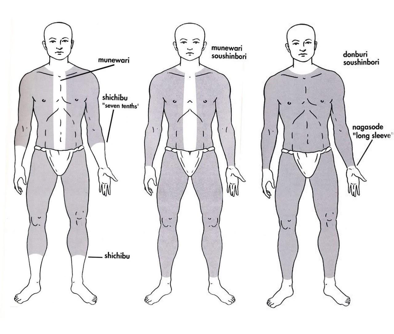 Hình ảnh minh họa kiểu xăm Kame no Kou với họa tiết mai rùa bao phủ lưng và đùi