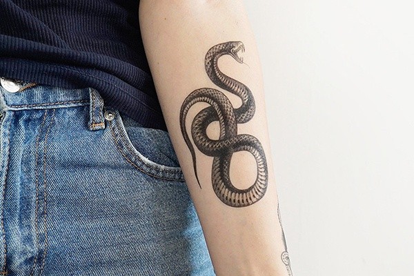 100+ Mẫu Hình Xăm Đẹp Và Ý Nghĩa Cho Phái Nữ Năm 2026 49 befsciaste5tmacyx3tqg3bogcyvrzcokw0jxu22oux zogi19pypgkt7nl6ltnasvzpt1tluptdxtzkwypd2ddzby6mtzchopfc6i1rzcrb4xc4u7azokmr6idfgg uyqgpqjvtdjdp6va