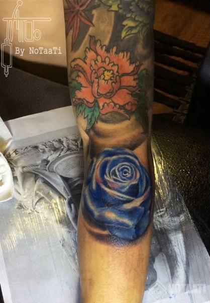 Cận cảnh vẻ đẹp kiêu sa của hoa mẫu đơn.