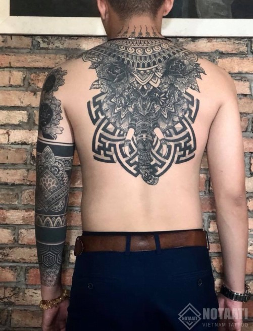 Mẫu đơn với nhiều cánh hoa xếp lớp tinh tế.