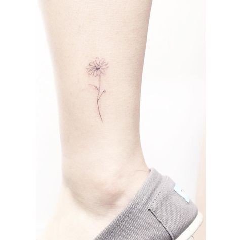 Ý nghĩa của hoa cúc trắng - sự cao thượng và lạc quan