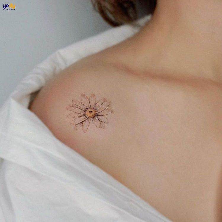 Hình xăm mini cho nữ ở vai