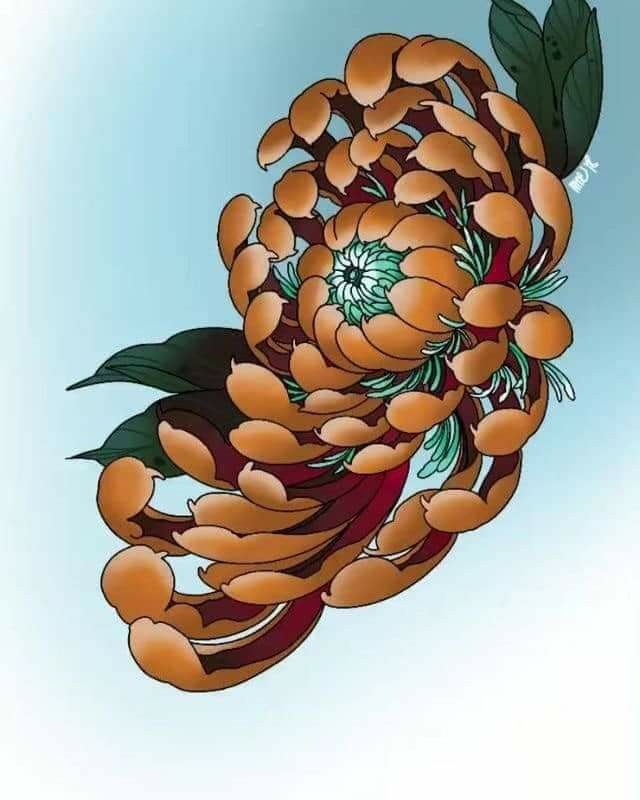 Cận cảnh một bông hoa cúc với những cánh mỏng manh và nhụy vàng rực rỡ