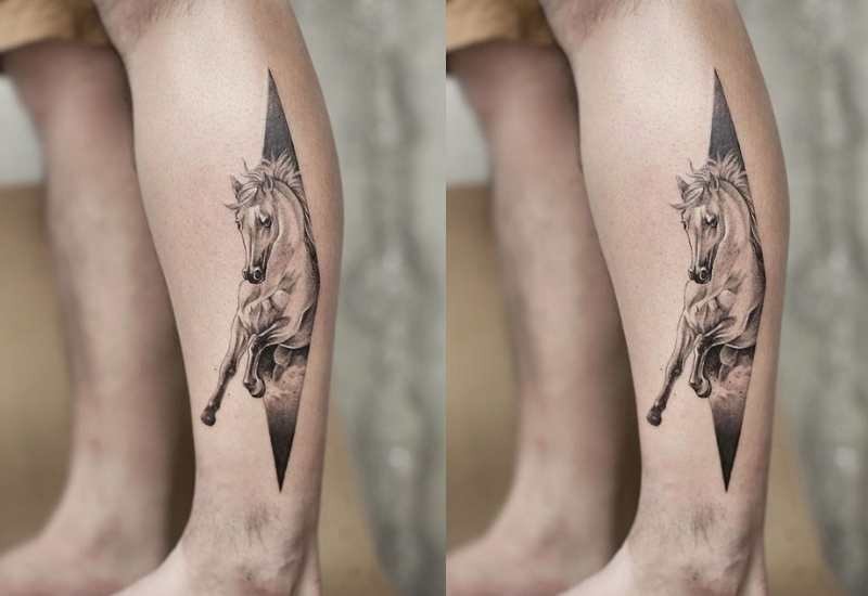 Ngựa phi qua rào cản