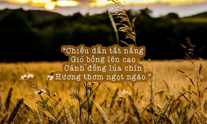 Cảnh trẻ em vui đùa trong dịp hè với những hoạt động ngoài trời.