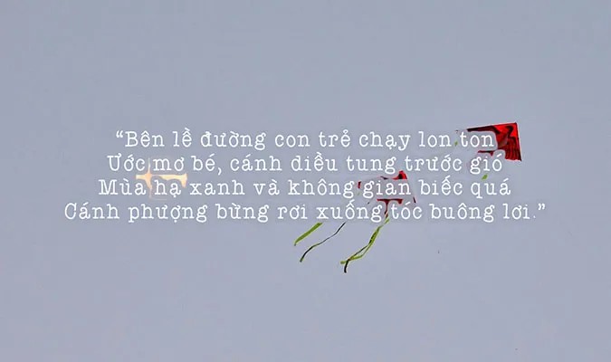 Cảnh sắc mùa hè với cây cối xanh tươi và bầu trời trong xanh.