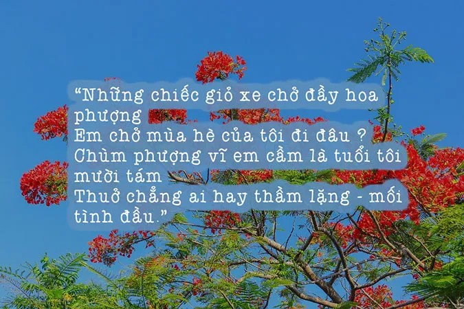 Cảnh sắc mùa hè với những kỷ niệm đẹp và tình yêu tuổi học trò.