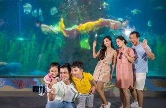 Dành tặng thầy cô chuyến du lịch, khám phá thú vị tại VinWonders