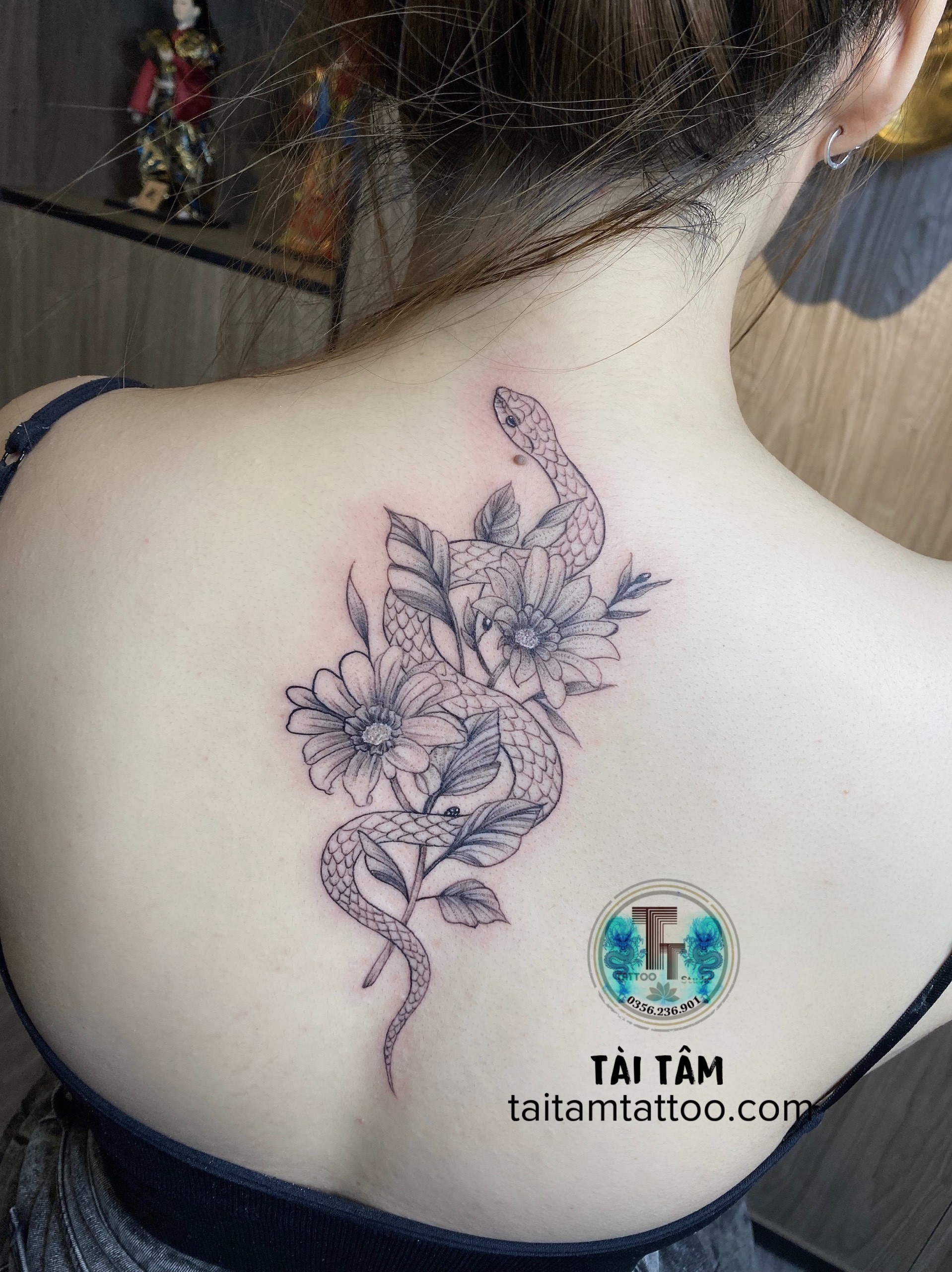 Rắn uyển chuyển trong tư thế săn mồi