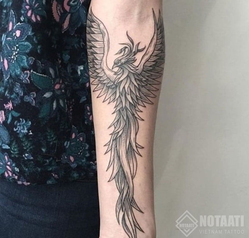 Ý nghĩa hình xăm Phượng Hoàng ở tay