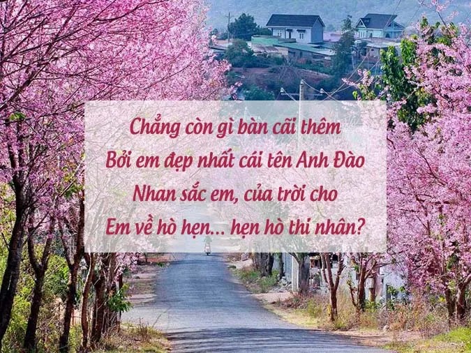 Tuyển tập những bài thơ về Đà Lạt mộng mơ 4