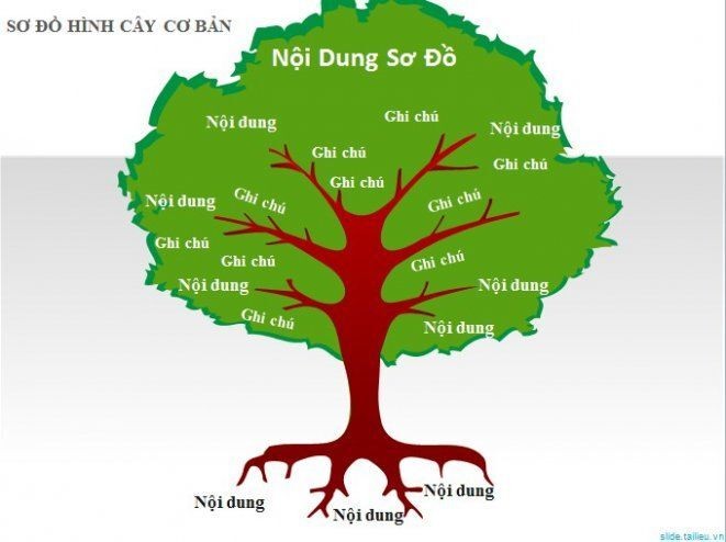 Sơ đồ tư duy hình cây xanh minh họa cho việc sắp xếp thông tin trực quan