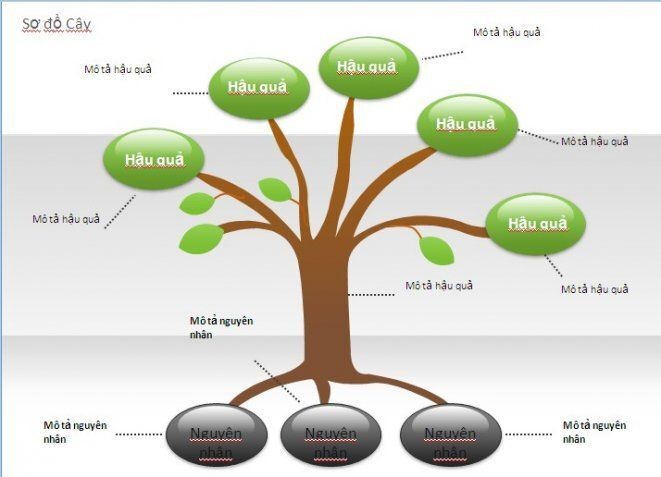 Ví dụ về cách một sơ đồ cây được xây dựng trực tuyến, thể hiện sự phát triển của các nhánh