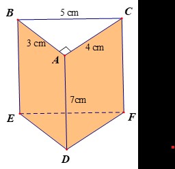 Diện tích xung quanh và thể tích của hình lăng trụ đứng tam giác, lăng trụ đứng tứ giác lớp 7 (Lý thuyết Toán 7 Chân trời sáng tạo) (ảnh 1)
